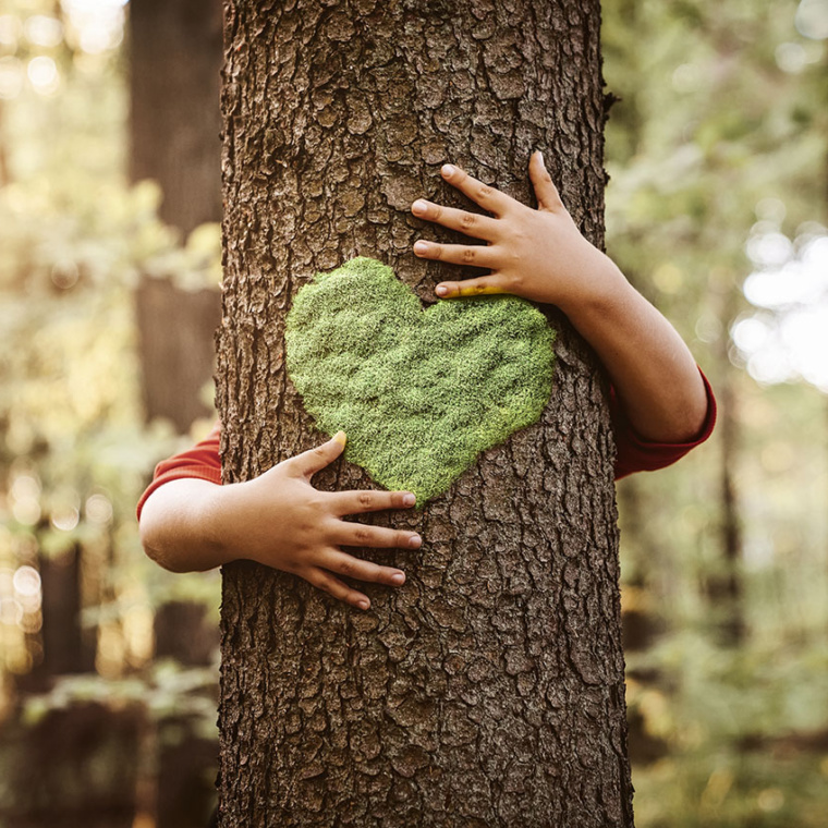 Child hugging tree with heart shape on it